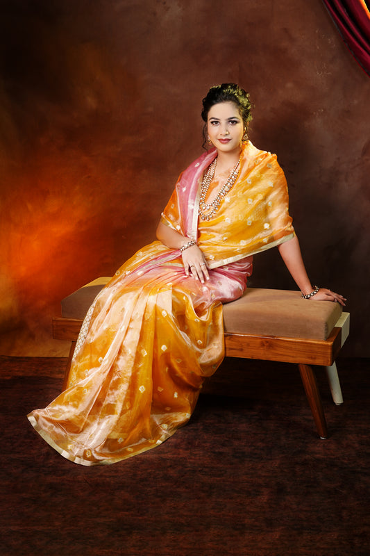 Banarasi Kadhwa Tissue Silk Saree