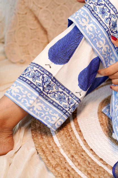 Rajwada Blues - Kurta Set