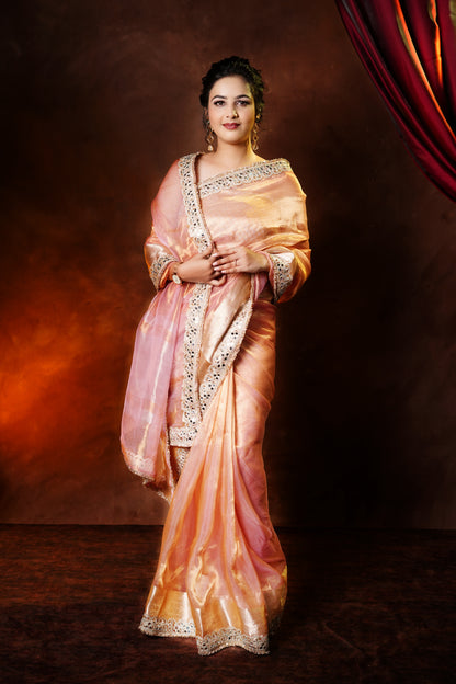 Banarasi Tissue Silk Saree
