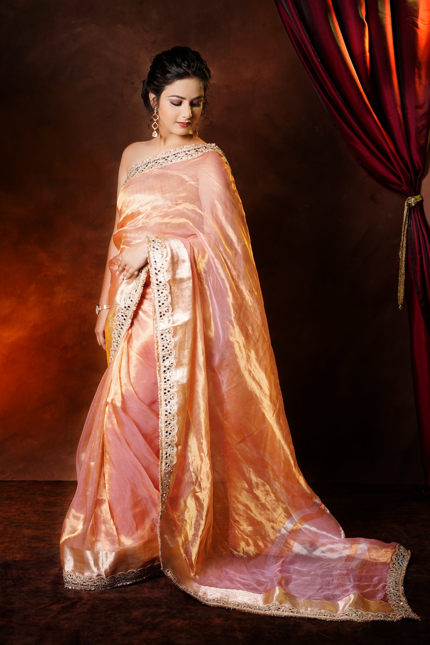 Banarasi Tissue Silk Saree